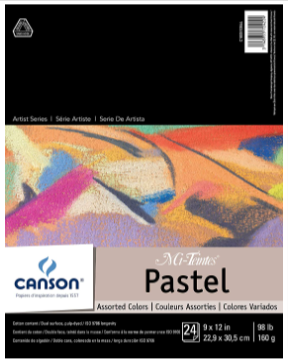 CANSON Mi-Teintes Pastel Pad
